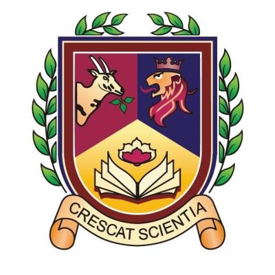 British International School